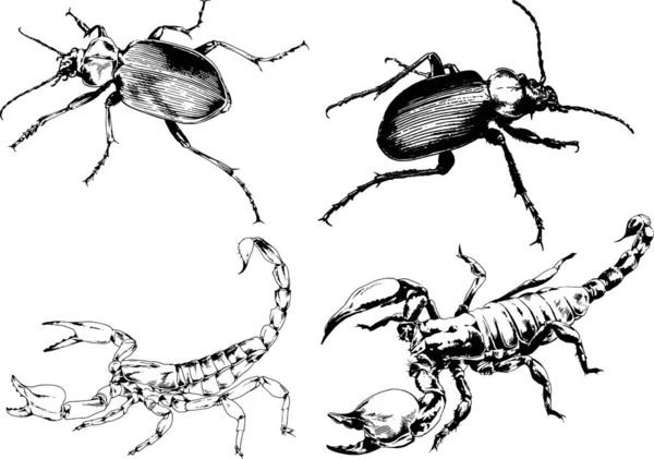 Vectortekeningen Schetst Verschillende Insecten Insecten Schorpioenen Spinnen Met Hand Getekend — Stockvector