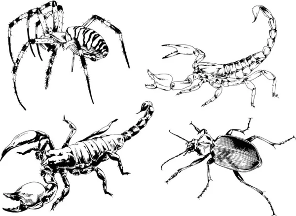 矢量绘图描绘了不同的昆虫昆虫蝎子蜘蛛用墨水手绘 没有背景的物体 — 图库矢量图片