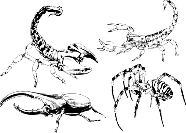 ベクトル図は異なる昆虫のバグをスケッチ手でインクで描かれたスコーピオンクモ 背景のないオブジェクト — ストックベクタ