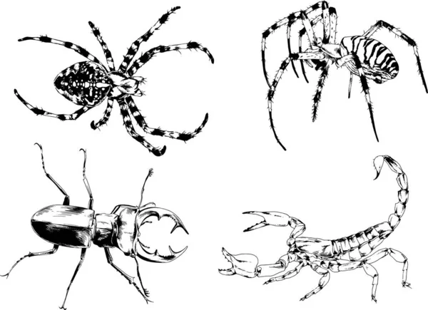 ベクトル図は異なる昆虫のバグをスケッチ手でインクで描かれたスコーピオンクモ 背景のないオブジェクト — ストックベクタ