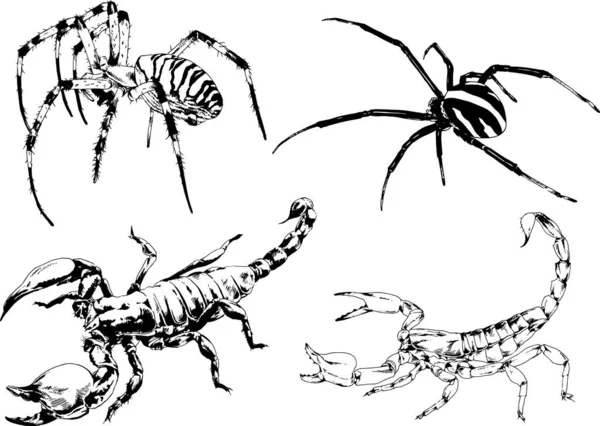 Desenhos Vetoriais Esboços Diferentes Insetos Insetos Escorpiões Aranhas Desenhadas Tinta —  Vetores de Stock