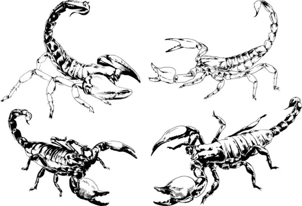 ベクトル図は異なる昆虫のバグをスケッチ手でインクで描かれたスコーピオンクモ 背景のないオブジェクト — ストックベクタ