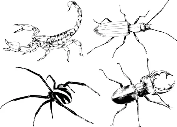 ベクトル図は異なる昆虫のバグをスケッチ手でインクで描かれたスコーピオンクモ 背景のないオブジェクト — ストックベクタ