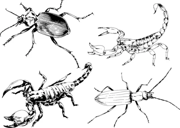 Dibujos Vectoriales Bocetos Insectos Diferentes Insectos Scorpions Arañas Dibujadas Con — Vector de stock