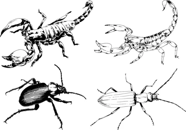 Desenhos Vetoriais Esboços Diferentes Insetos Insetos Escorpiões Aranhas Desenhadas Tinta —  Vetores de Stock