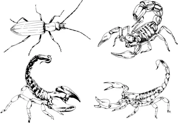 Векторні Малюнки Ескізи Різних Комах Жуків Скорпіони Павуки Намальовані Чорнилом — стоковий вектор