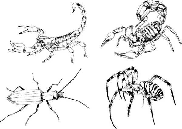 ベクトル図は異なる昆虫のバグをスケッチ手でインクで描かれたスコーピオンクモ 背景のないオブジェクト — ストックベクタ