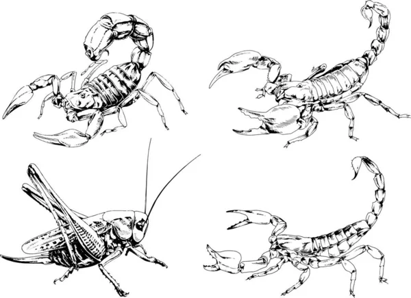 Векторні Малюнки Ескізи Різних Комах Жуків Скорпіони Павуки Намальовані Чорнилом — стоковий вектор