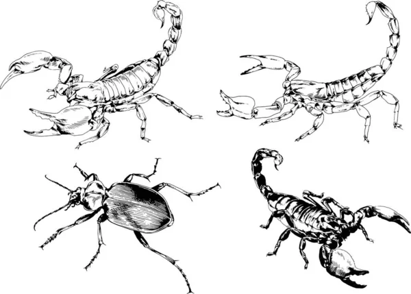 Vector Drawings Sketches Different Insects Bugs Scorpions Spiders Drawn Ink — Stock Vector