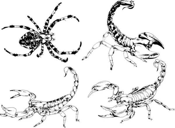 ベクトル図は異なる昆虫のバグをスケッチ手でインクで描かれたスコーピオンクモ 背景のないオブジェクト — ストックベクタ