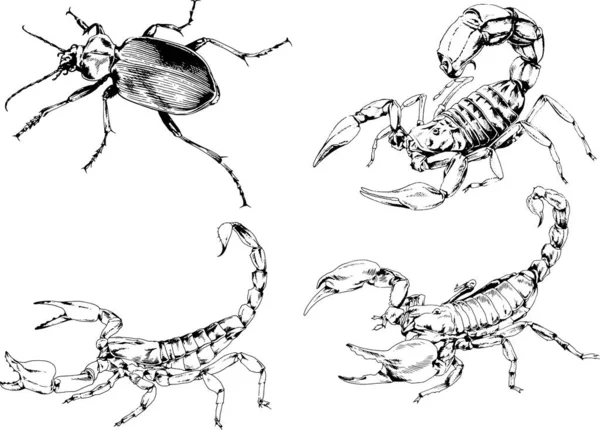 Dibujos Vectoriales Bocetos Insectos Diferentes Insectos Scorpions Arañas Dibujadas Con — Vector de stock