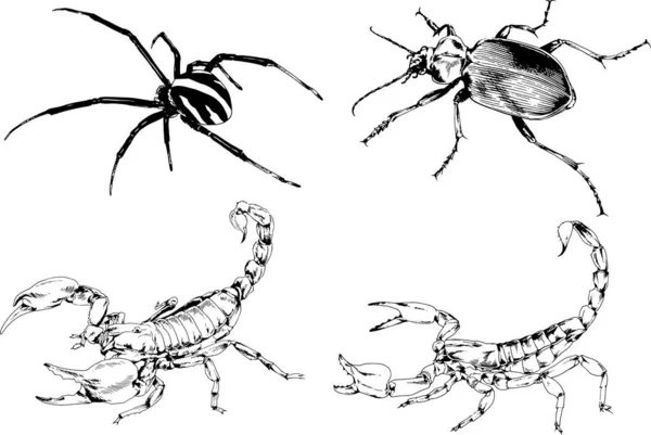 Disegni Vettoriali Schizzi Insetti Diversi Insetti Ragni Scorpioni Disegnati Mano — Vettoriale Stock