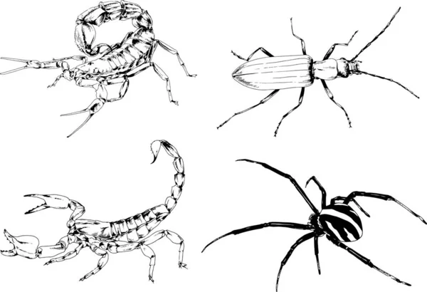 ベクトル図は異なる昆虫のバグをスケッチ手でインクで描かれたスコーピオンクモ 背景のないオブジェクト — ストックベクタ