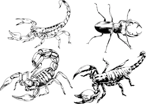 Vectortekeningen Schetst Verschillende Insecten Insecten Schorpioenen Spinnen Met Hand Getekend — Stockvector