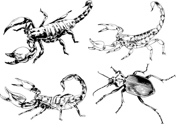 Desenhos Vetoriais Esboços Diferentes Insetos Insetos Escorpiões Aranhas Desenhadas Tinta —  Vetores de Stock