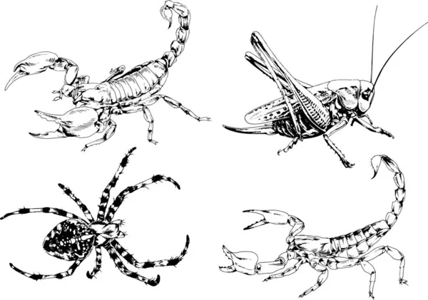 Векторні Малюнки Ескізи Різних Комах Жуків Скорпіони Павуки Намальовані Чорнилом — стоковий вектор