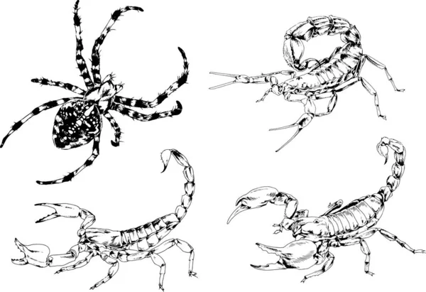 Vectortekeningen Schetst Verschillende Insecten Insecten Schorpioenen Spinnen Met Hand Getekend — Stockvector