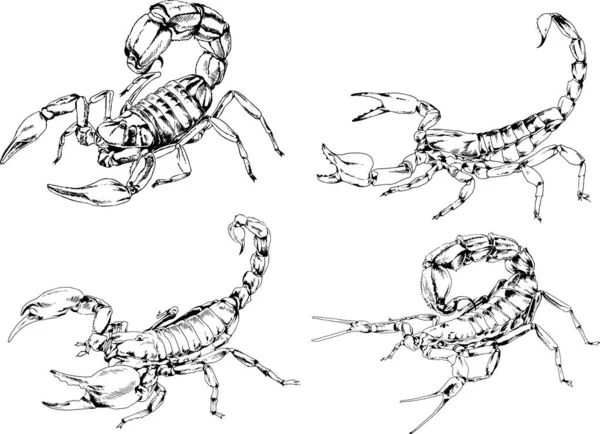 ベクトル図は異なる昆虫のバグをスケッチ手でインクで描かれたスコーピオンクモ 背景のないオブジェクト — ストックベクタ