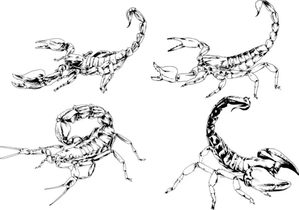 Векторні Малюнки Ескізи Різних Комах Жуків Скорпіони Павуки Намальовані Чорнилом — стоковий вектор