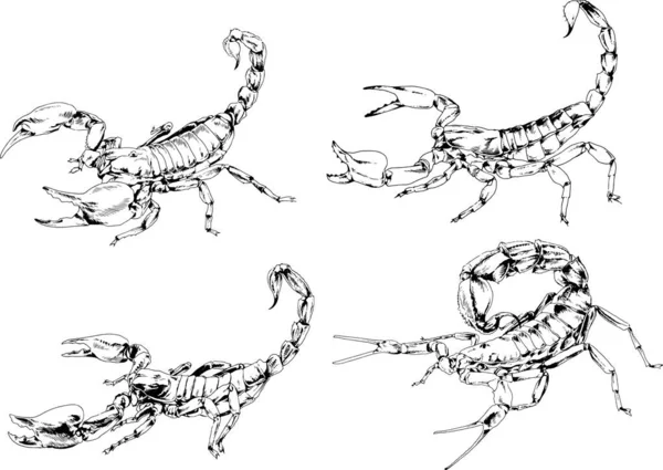 ベクトル図は異なる昆虫のバグをスケッチ手でインクで描かれたスコーピオンクモ 背景のないオブジェクト — ストックベクタ