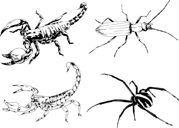 Vectortekeningen Schetst Verschillende Insecten Insecten Schorpioenen Spinnen Met Hand Getekend — Stockvector