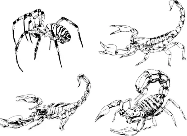 矢量绘图描绘了不同的昆虫昆虫蝎子蜘蛛用墨水手绘 没有背景的物体 — 图库矢量图片