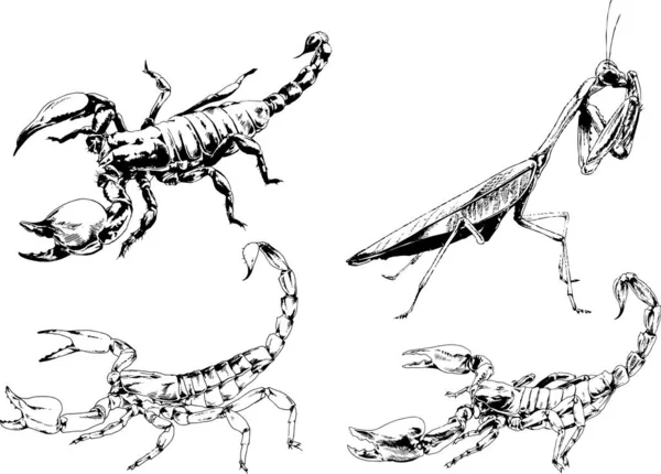 Dibujos Vectoriales Bocetos Insectos Diferentes Insectos Scorpions Arañas Dibujadas Con — Vector de stock