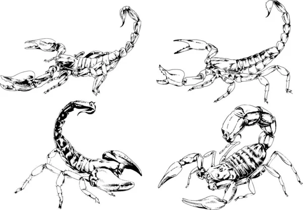 ベクトル図は異なる昆虫のバグをスケッチ手でインクで描かれたスコーピオンクモ 背景のないオブジェクト — ストックベクタ