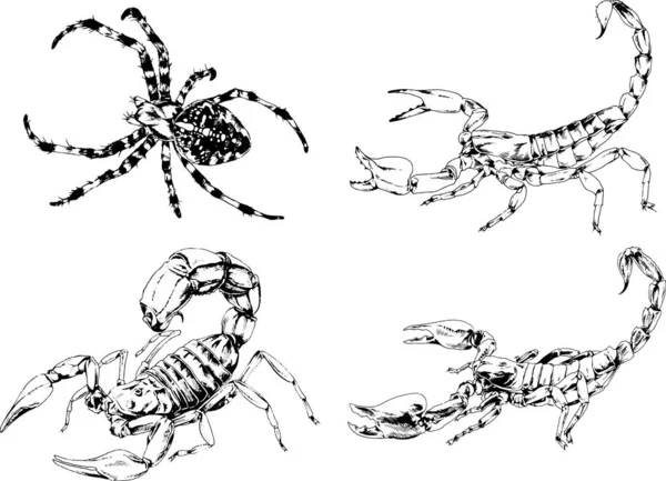 Disegni Vettoriali Schizzi Insetti Diversi Insetti Ragni Scorpioni Disegnati Mano — Vettoriale Stock