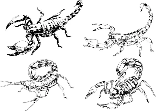 Dibujos Vectoriales Bocetos Insectos Diferentes Insectos Scorpions Arañas Dibujadas Con — Vector de stock