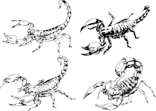 Desenhos Vetoriais Esboços Diferentes Insetos Insetos Escorpiões Aranhas Desenhadas Tinta —  Vetores de Stock