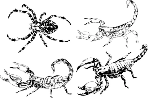 Vectortekeningen Schetst Verschillende Insecten Insecten Schorpioenen Spinnen Met Hand Getekend — Stockvector