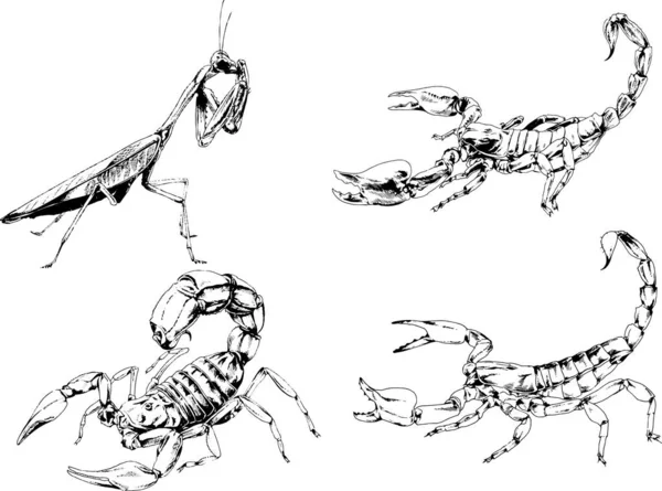 Vectortekeningen Schetst Verschillende Insecten Insecten Schorpioenen Spinnen Met Hand Getekend — Stockvector