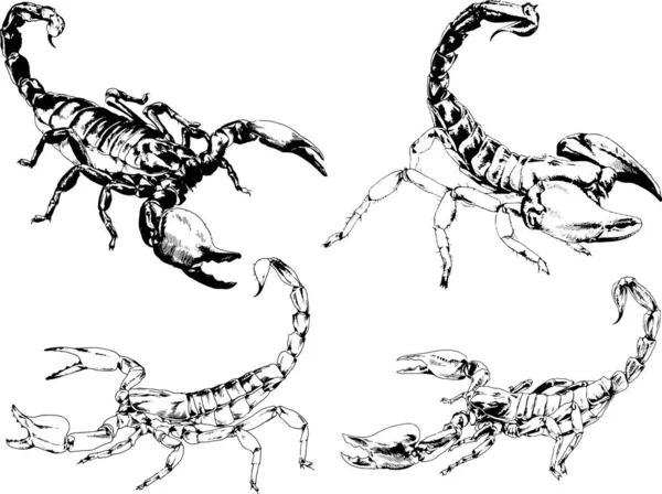 Desenhos Vetoriais Esboços Diferentes Insetos Insetos Escorpiões Aranhas Desenhadas Tinta — Vetor de Stock