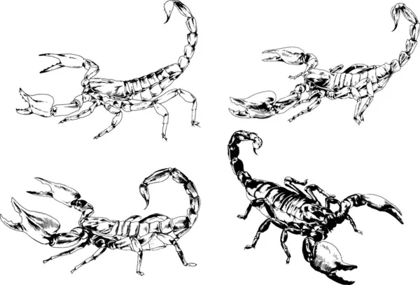 Векторные Рисунки Эскизы Различных Насекомых Жуки Scorpions Пауки Нарисованы Чернилами — стоковый вектор