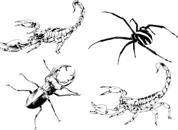 Desenhos Vetoriais Esboços Diferentes Insetos Insetos Escorpiões Aranhas Desenhadas Tinta — Vetor de Stock