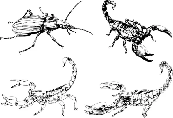 Vectortekeningen Schetst Verschillende Insecten Insecten Schorpioenen Spinnen Met Hand Getekend — Stockvector