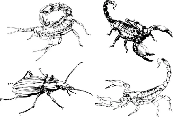 矢量绘图描绘了不同的昆虫昆虫蝎子蜘蛛用墨水手绘 没有背景的物体 — 图库矢量图片