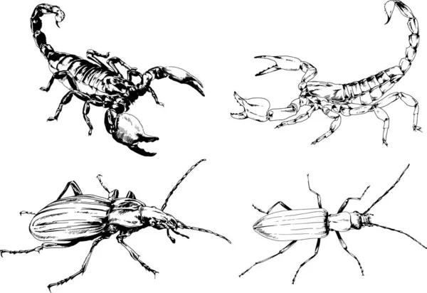 Векторные Рисунки Эскизы Различных Насекомых Жуки Scorpions Пауки Нарисованы Чернилами — стоковый вектор