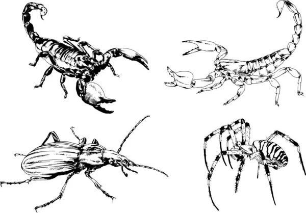 Dibujos Vectoriales Bocetos Insectos Diferentes Insectos Scorpions Arañas Dibujadas Con — Vector de stock