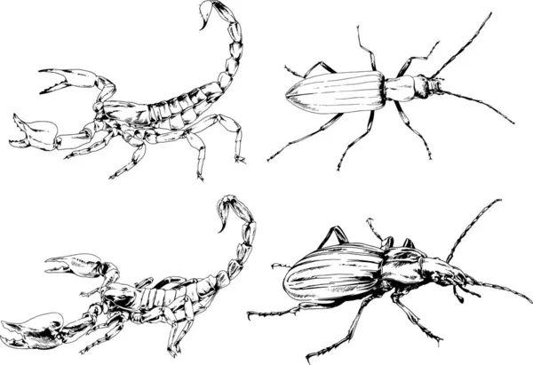 Dibujos Vectoriales Bocetos Insectos Diferentes Insectos Scorpions Arañas Dibujadas Con — Vector de stock