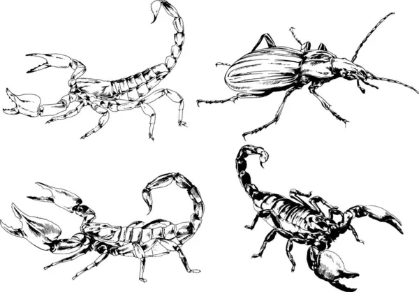 Vectortekeningen Schetst Verschillende Insecten Insecten Schorpioenen Spinnen Met Hand Getekend — Stockvector