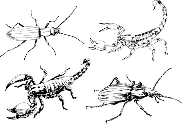 Desenhos Vetoriais Esboços Diferentes Insetos Insetos Escorpiões Aranhas Desenhadas Tinta —  Vetores de Stock