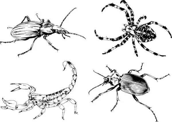그림은 손으로 잉크로 물체들을 벌레들의 거미들을 그림이다 — 스톡 벡터