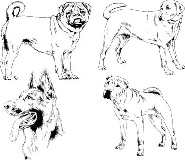 Vektör çizimleri, arka planı olmayan nesneler, mürekkeple çizilmiş soylu köpek ve kedileri çizer.
