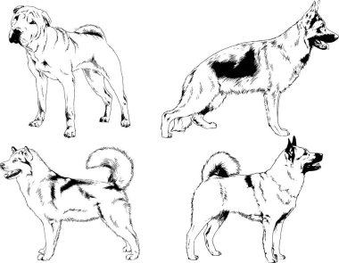 Vektör çizimleri, arka planı olmayan nesneler, mürekkeple çizilmiş soylu köpek ve kedileri çizer.