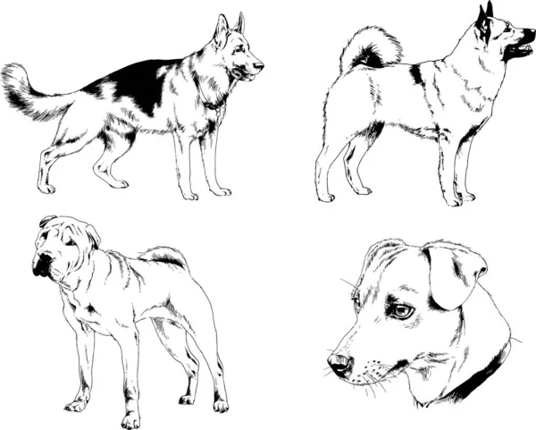 Vector Drawings Sketches Pedigree Dogs Cats Drawn Ink Hand Objects — Stock Vector