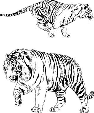 Yırtıcıların temasındaki vektör çizimleri mürekkep dövmeli logolarla elle çizilir.