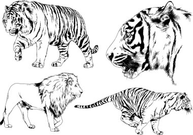 Yırtıcıların temasındaki vektör çizimleri mürekkep dövmeli logolarla elle çizilir.