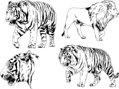 Yırtıcıların temasındaki vektör çizimleri mürekkep dövmeli logolarla elle çizilir.